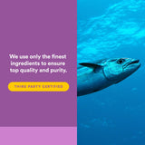 Natural Factors Fish Oil Supplement side view