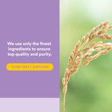 Natural Factors GABA Essence supplement with ingredients list