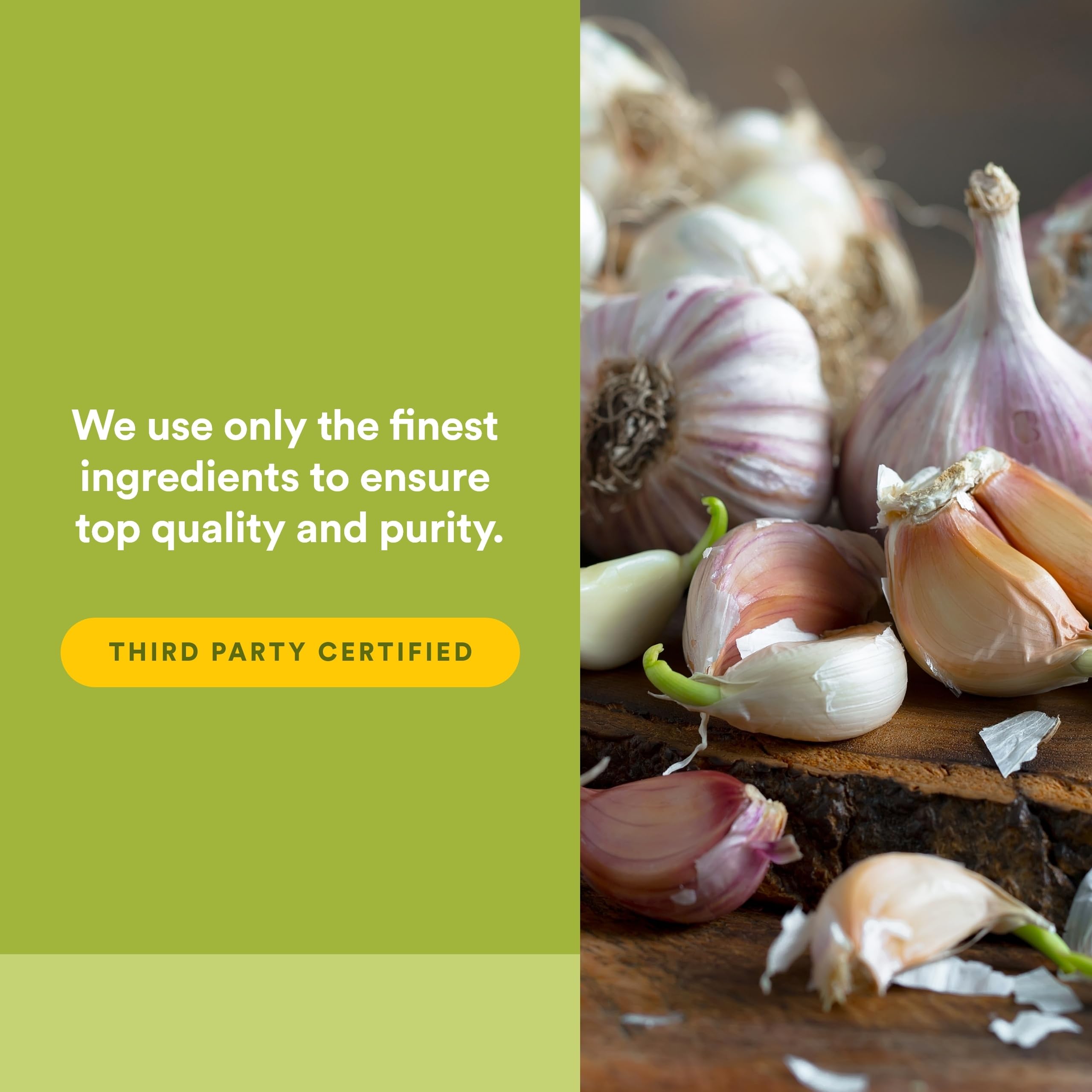 Natural Factors Garlic+Reishi capsules in hand
