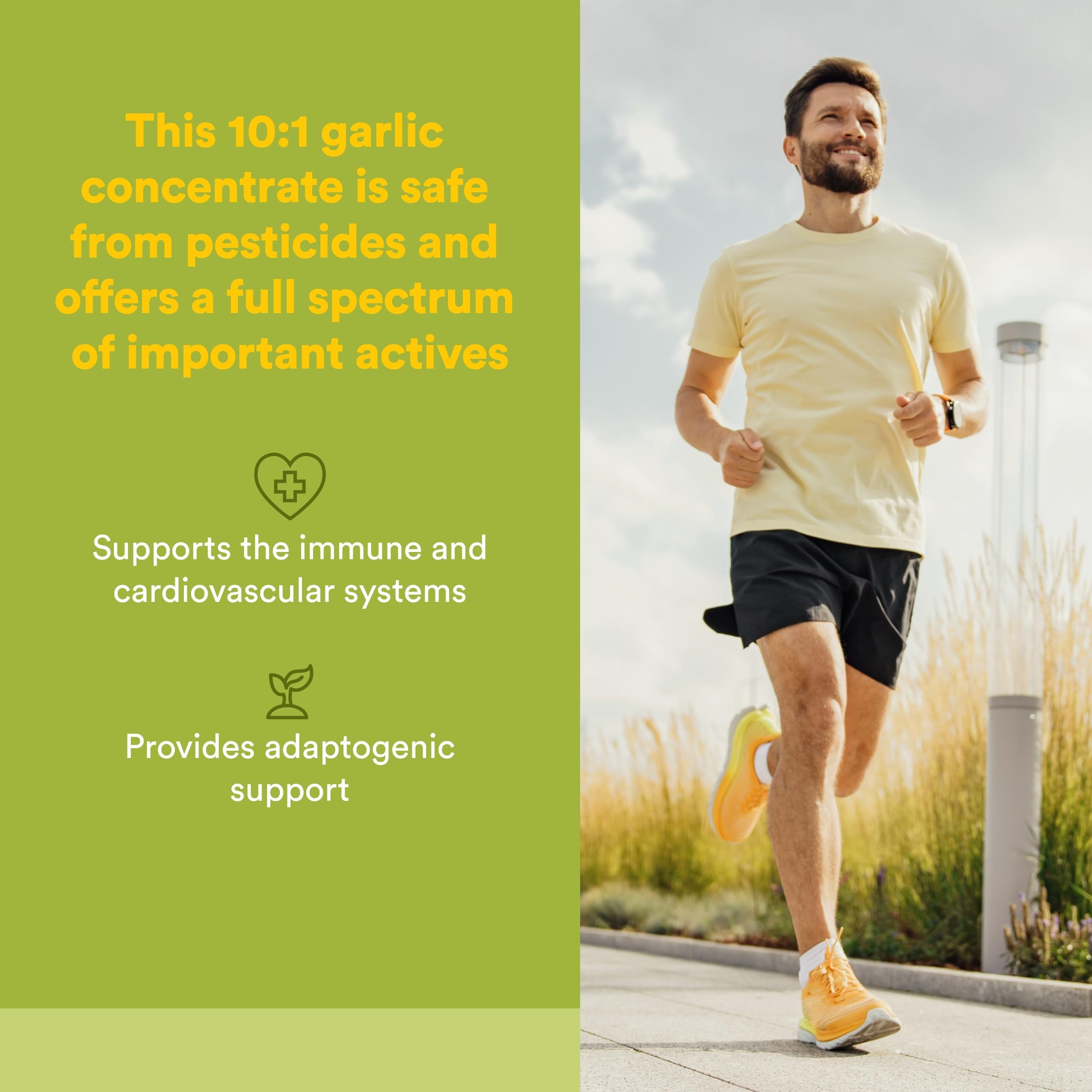 Natural Factors Garlic+Reishi supplement bottle side view