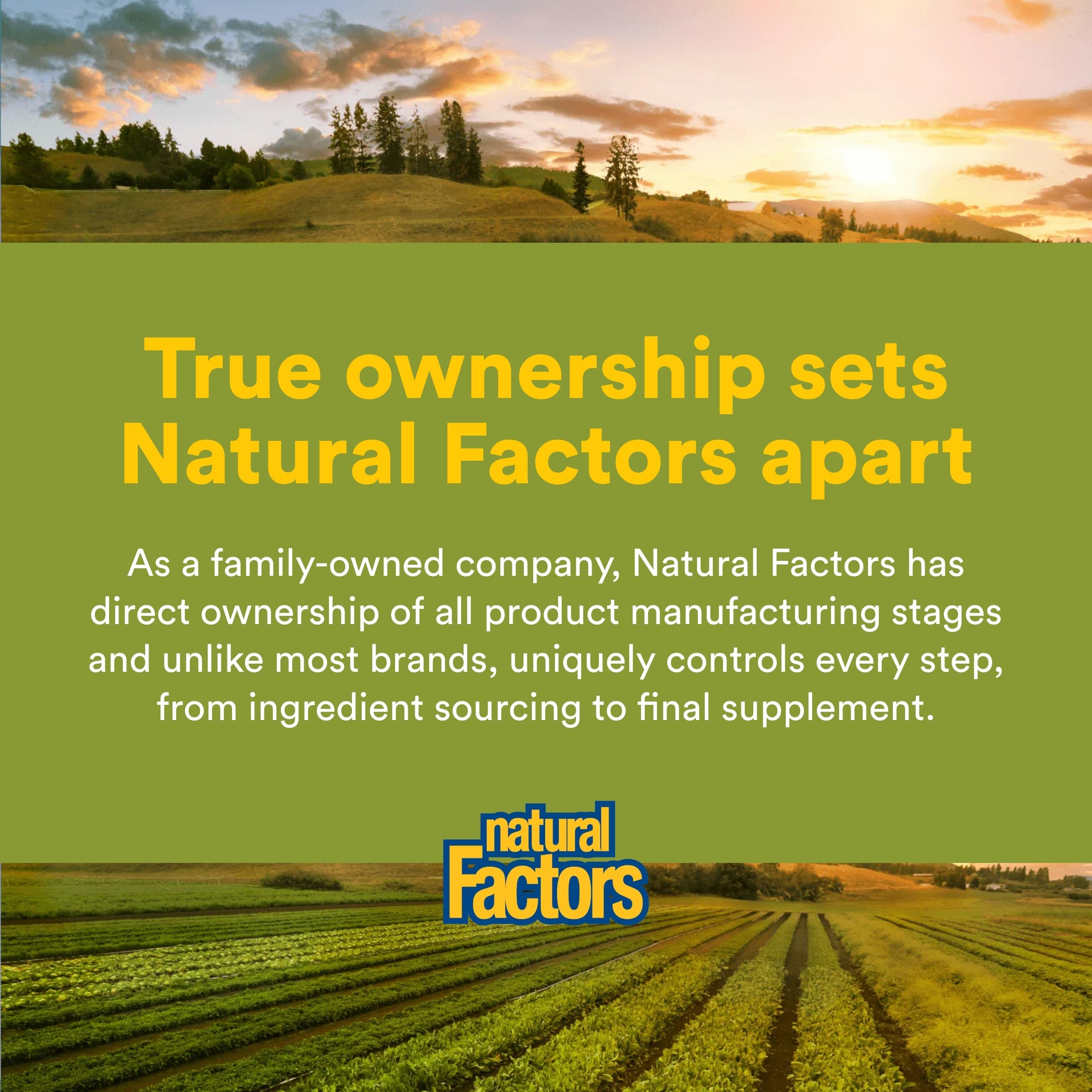 Natural Factors Grape Seed Extract with Horse Chestnut on a wooden table