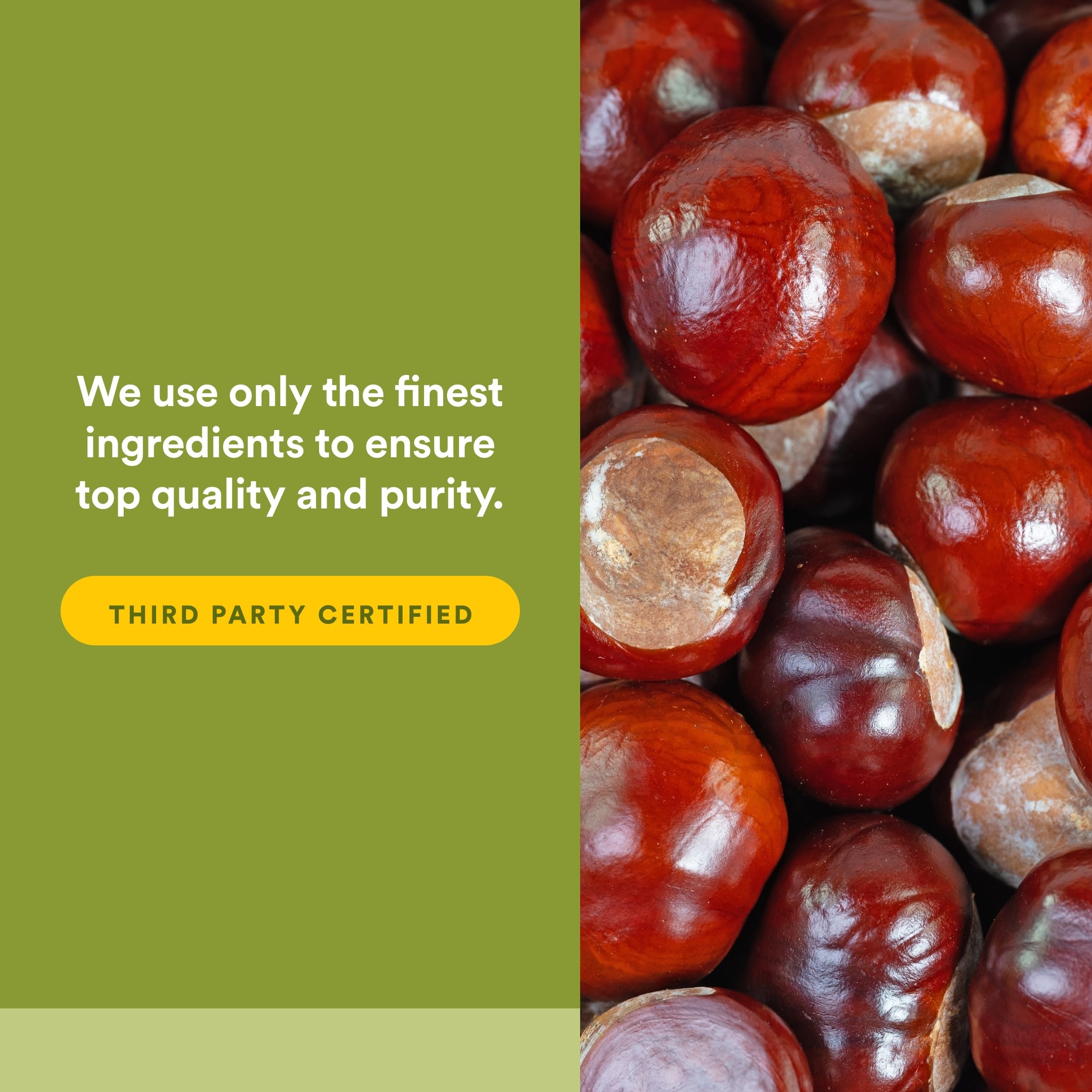 Natural Factors Grape Seed Extract with Horse Chestnut packaging