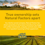 Natural Factors Higher Thoughts Brain Support Supplement on a wooden table