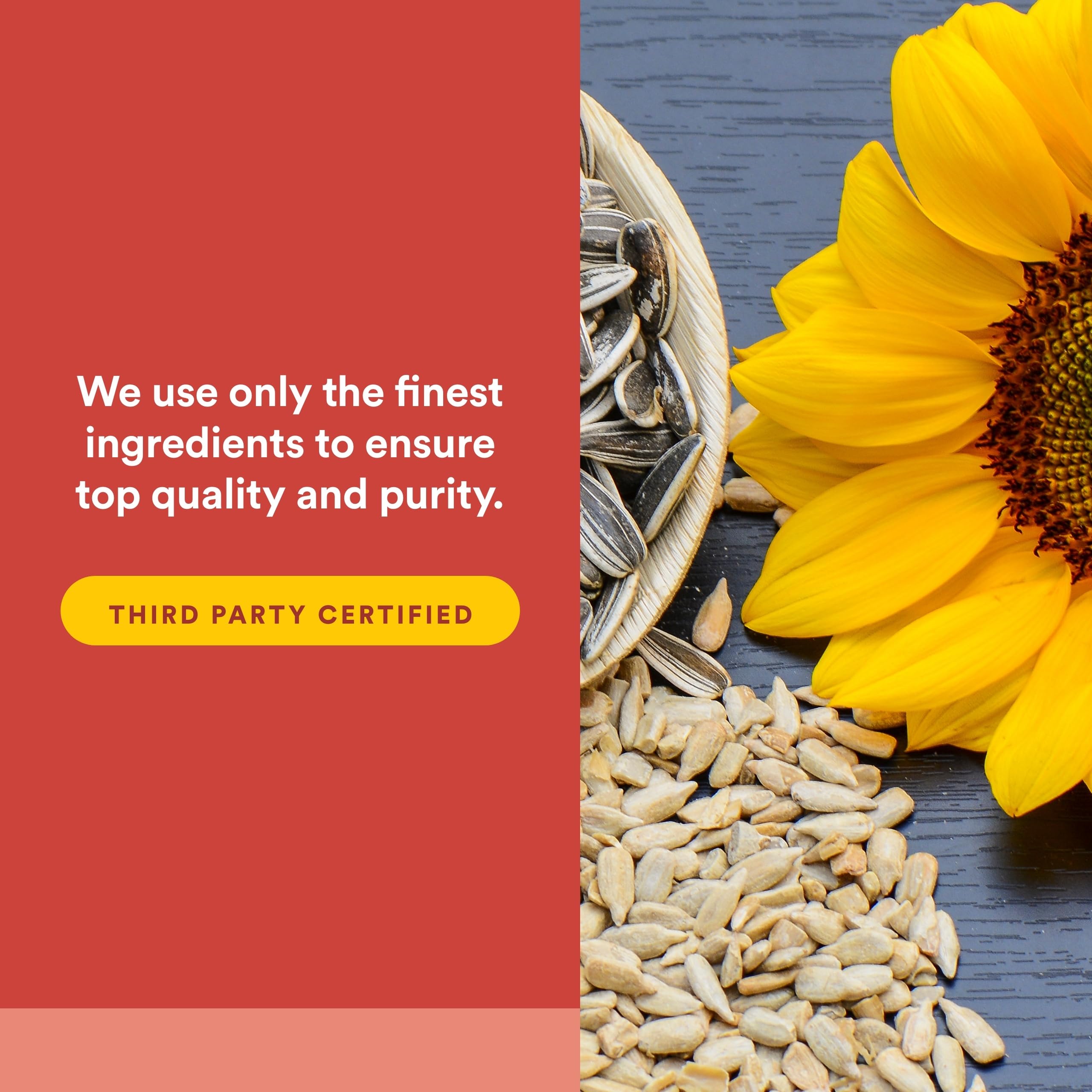 Natural Factors Lecithin Softgels 100mg softgel on wooden surface