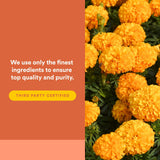Natural Factors LuteinRich Lutein Softgels packaging