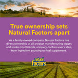 Natural Factors Melatonin 3 mg chewable tablets on a wooden table