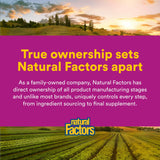 Natural Factors Methylcobalamin Vitamin B12 Supplement nutritional information
