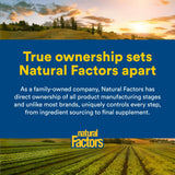 Natural Factors Micronized L-Glutamine capsules with other supplements