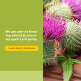 Natural Factors Milk Thistle Phytosome lifestyle scene