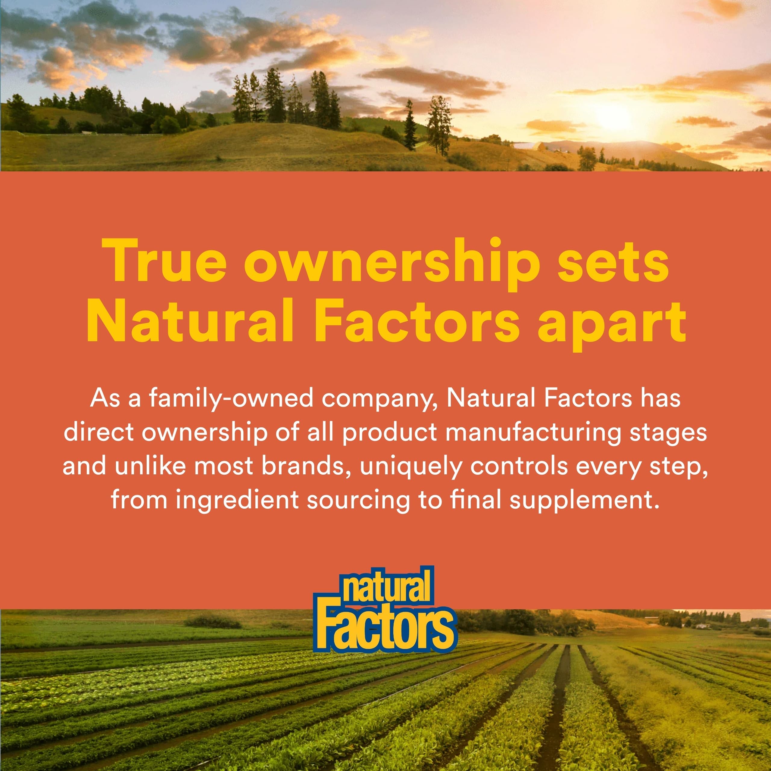 Natural Factors MSM Capsules 240g with measuring spoon