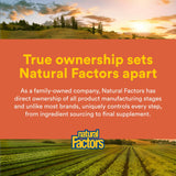 Natural Factors MSM Capsules 240g with measuring spoon