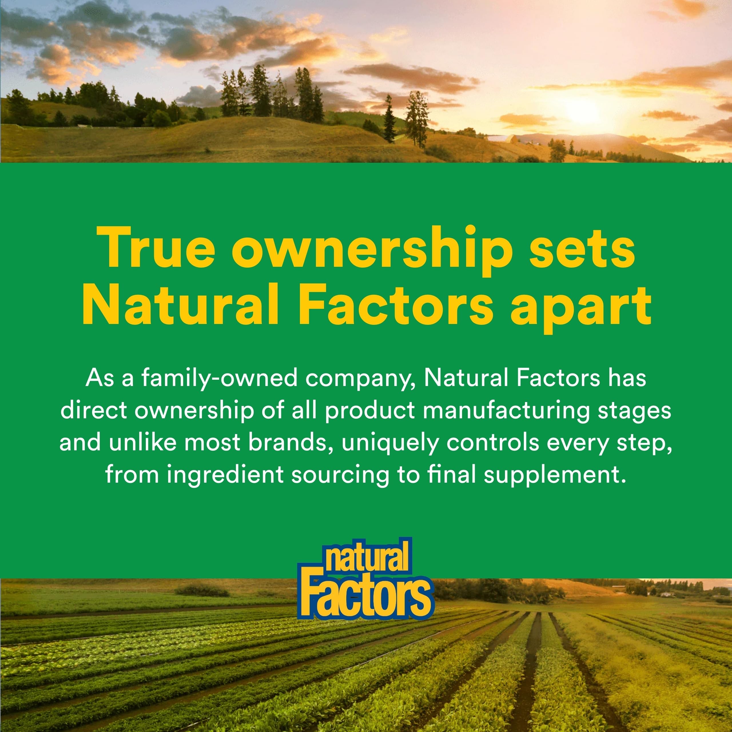 Natural Factors Multi Enzyme Capsules close-up of capsules