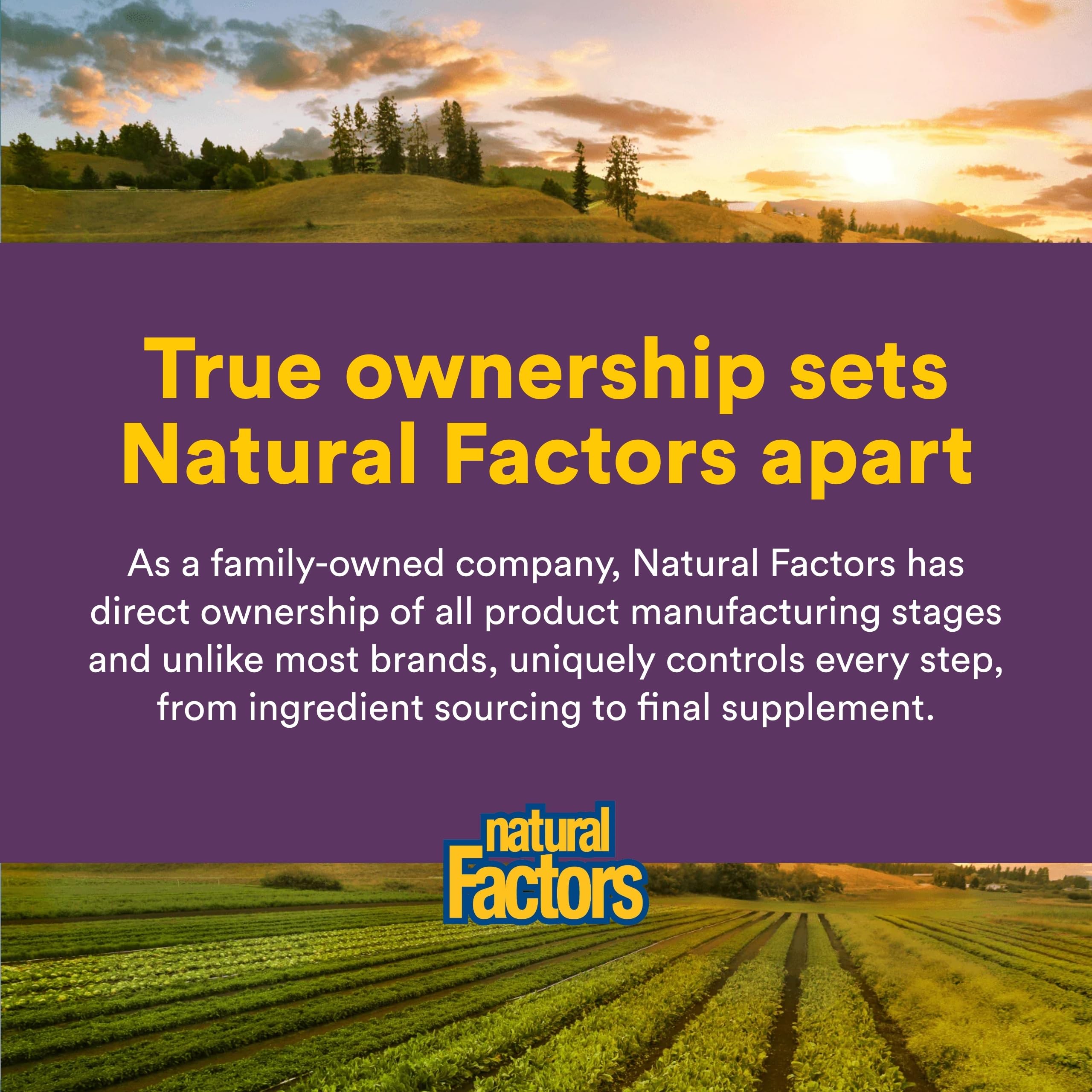 Natural Factors Nattokinase Whole Natto Concentrate in hand
