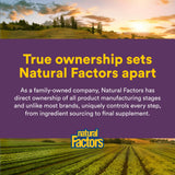 Natural Factors Nattokinase Whole Natto Concentrate in hand