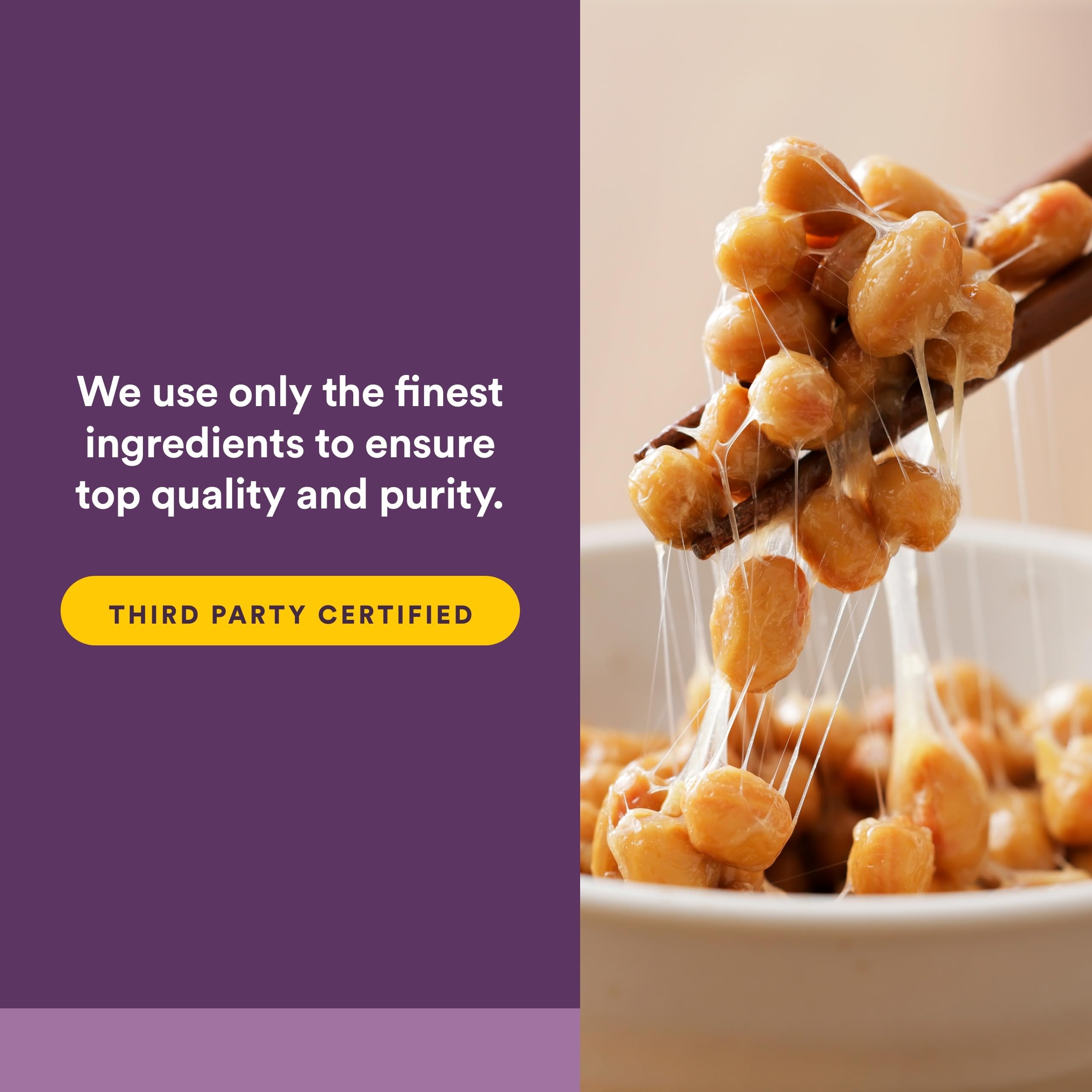 Natural Factors Nattokinase Whole Natto Concentrate ingredients list