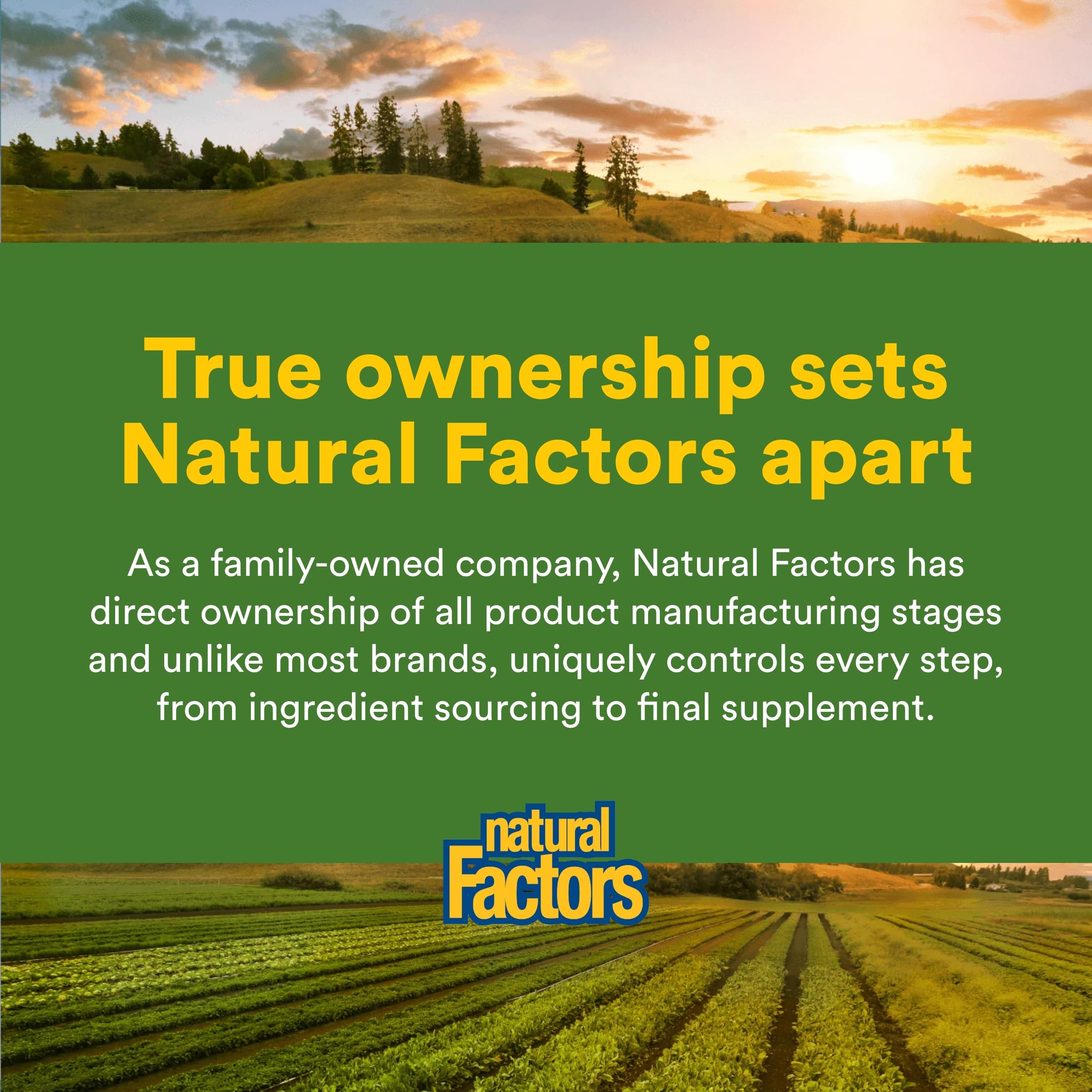 Natural Factors Organic Fermented Whole Food Supplement mixed in glass