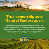 Natural Factors Organic Fermented Whole Food Supplement mixed in glass