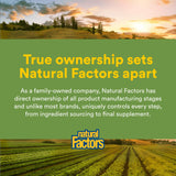 Natural Factors Organic Greens Supplement 490g lifestyle scene