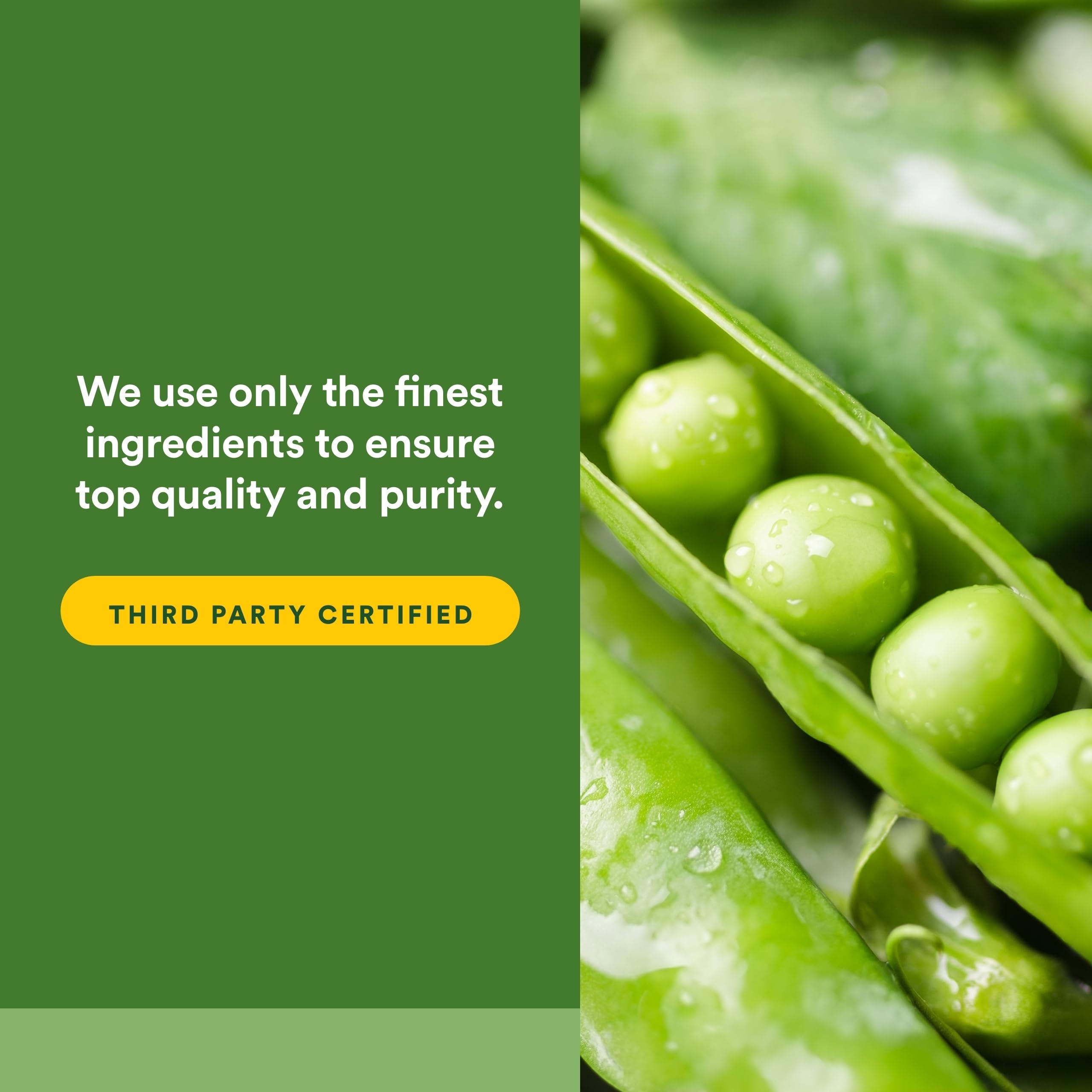 Natural Factors Organic Greens Supplement Powder ingredients list