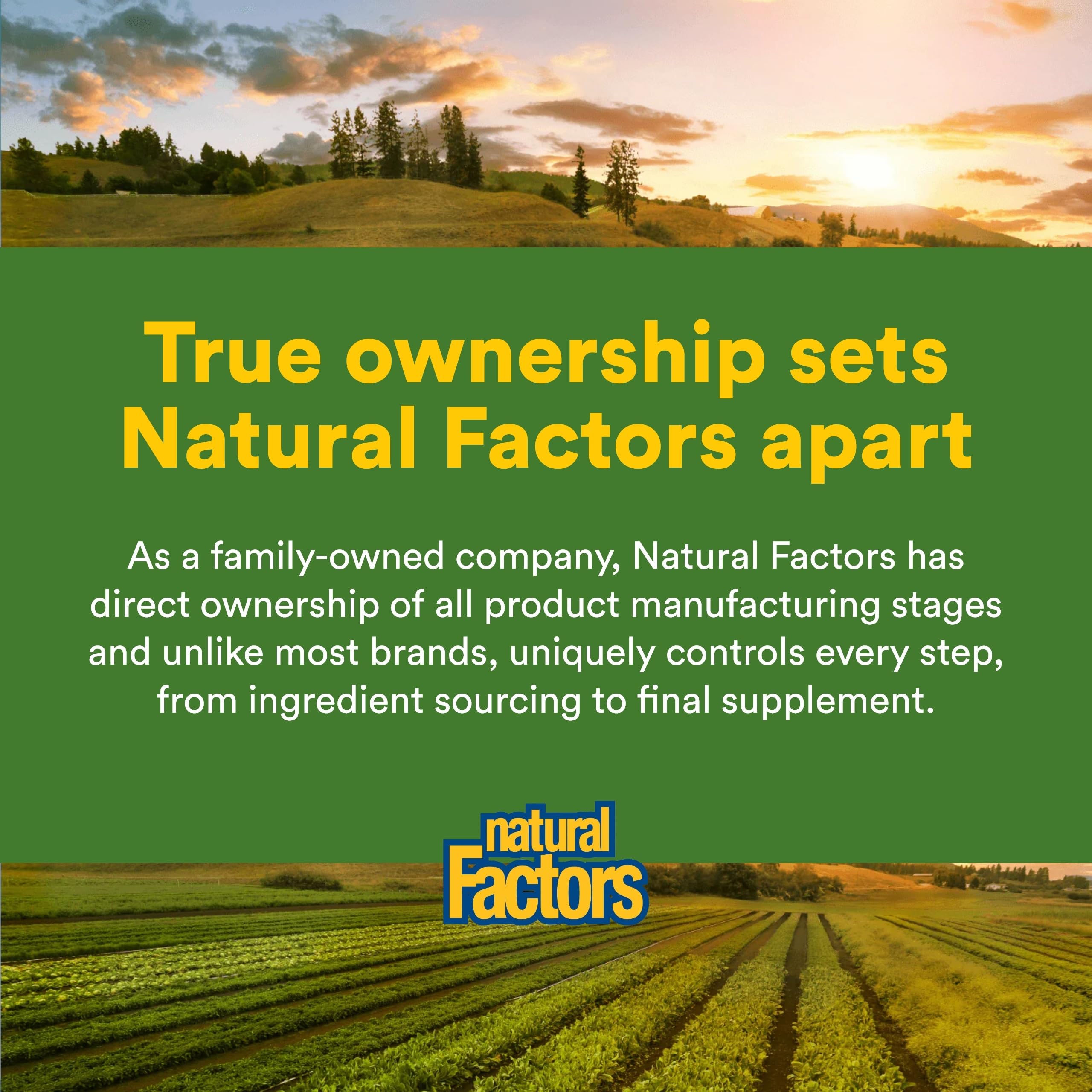 Natural Factors Organic Greens Supplement Powder nutritional information