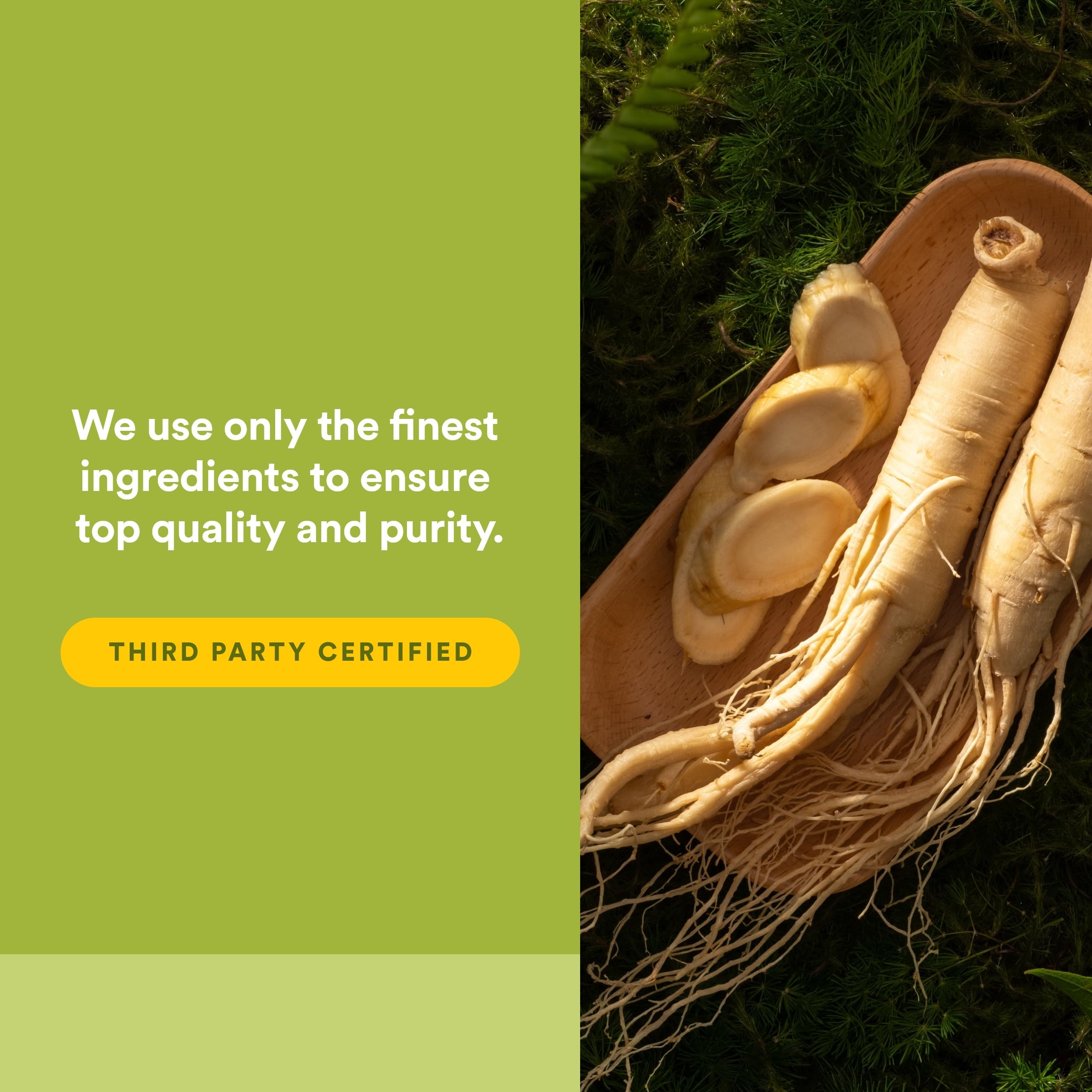Natural Factors Panax Ginseng 64g product label