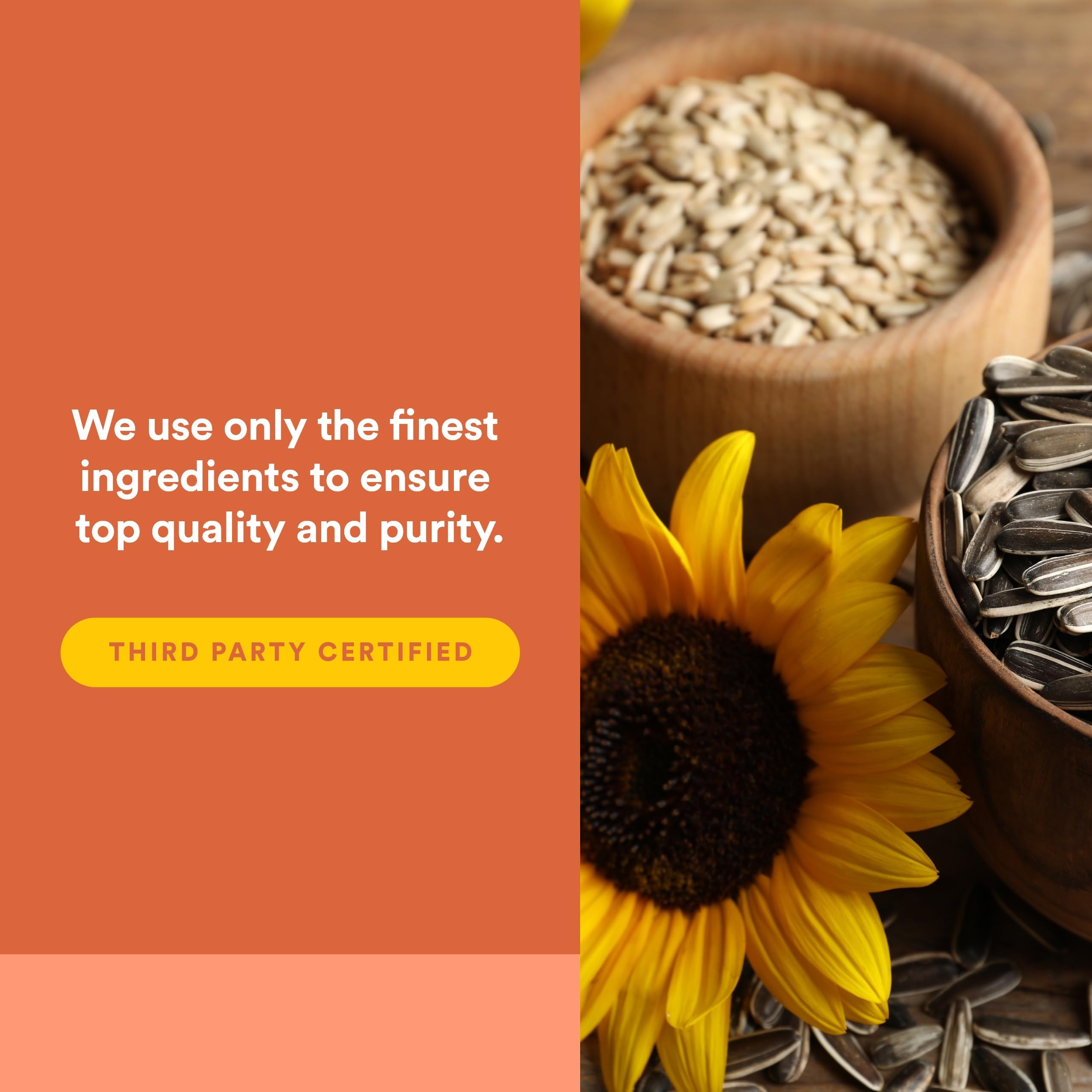 Natural Factors Phosphatidylserine Softgels 100mg with ingredients list