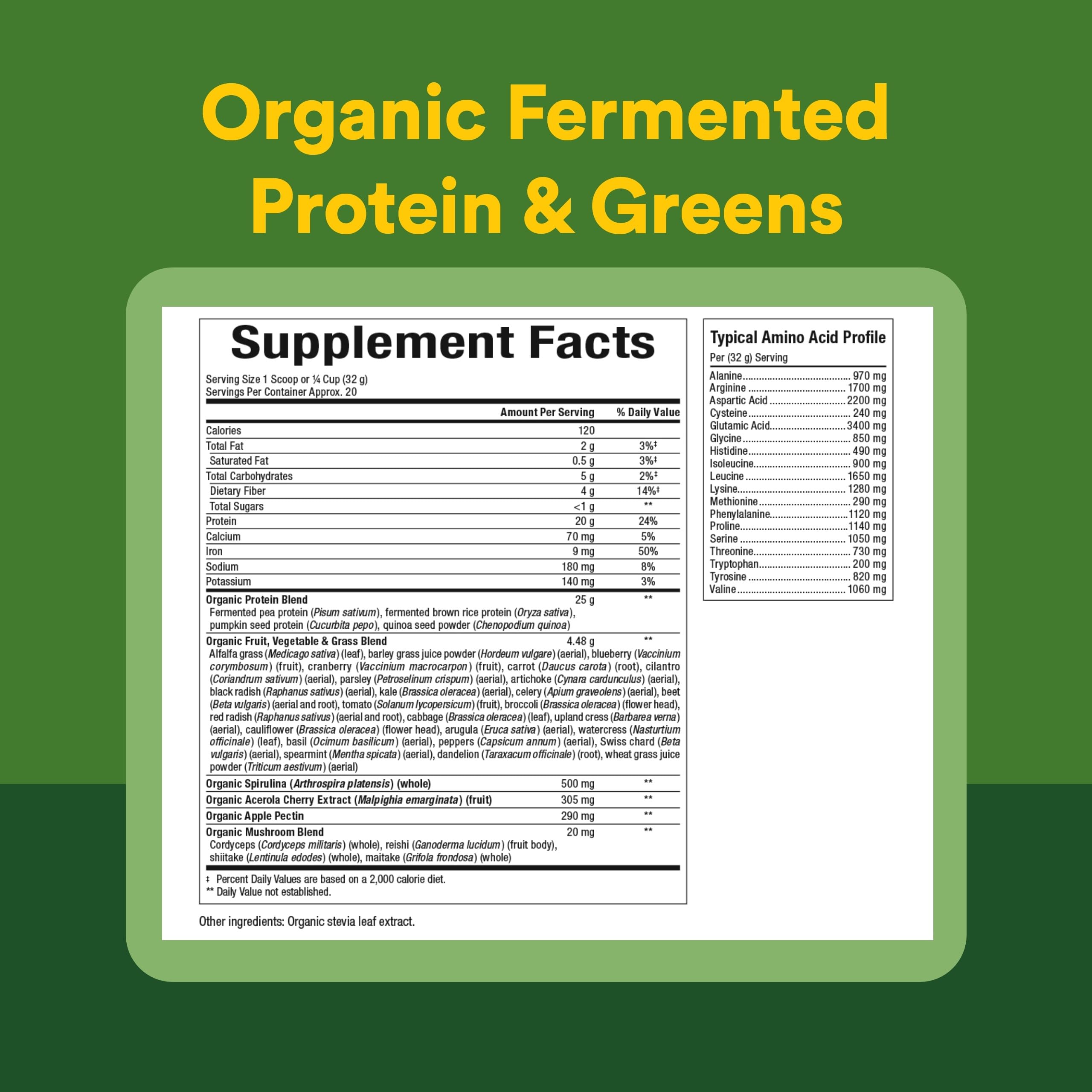 Natural Factors Plant-Based Protein Powder 255g ingredients list