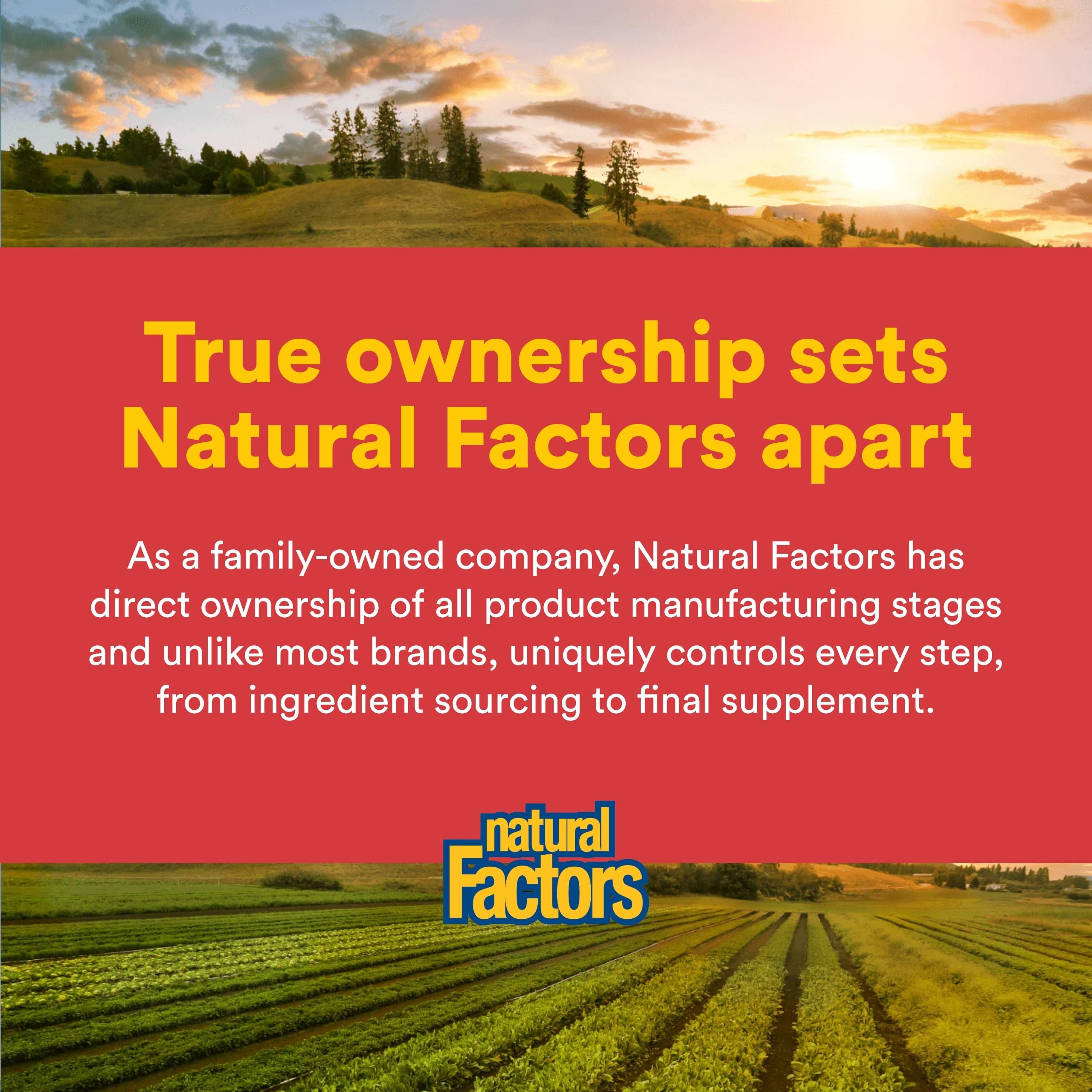 Natural Factors Power Maca 500mg lifestyle scene with a glass of water