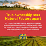 Natural Factors Power Maca 500mg lifestyle scene with a glass of water