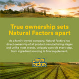 Natural Factors Premium Milk Thistle 150mg capsules in a lifestyle setting