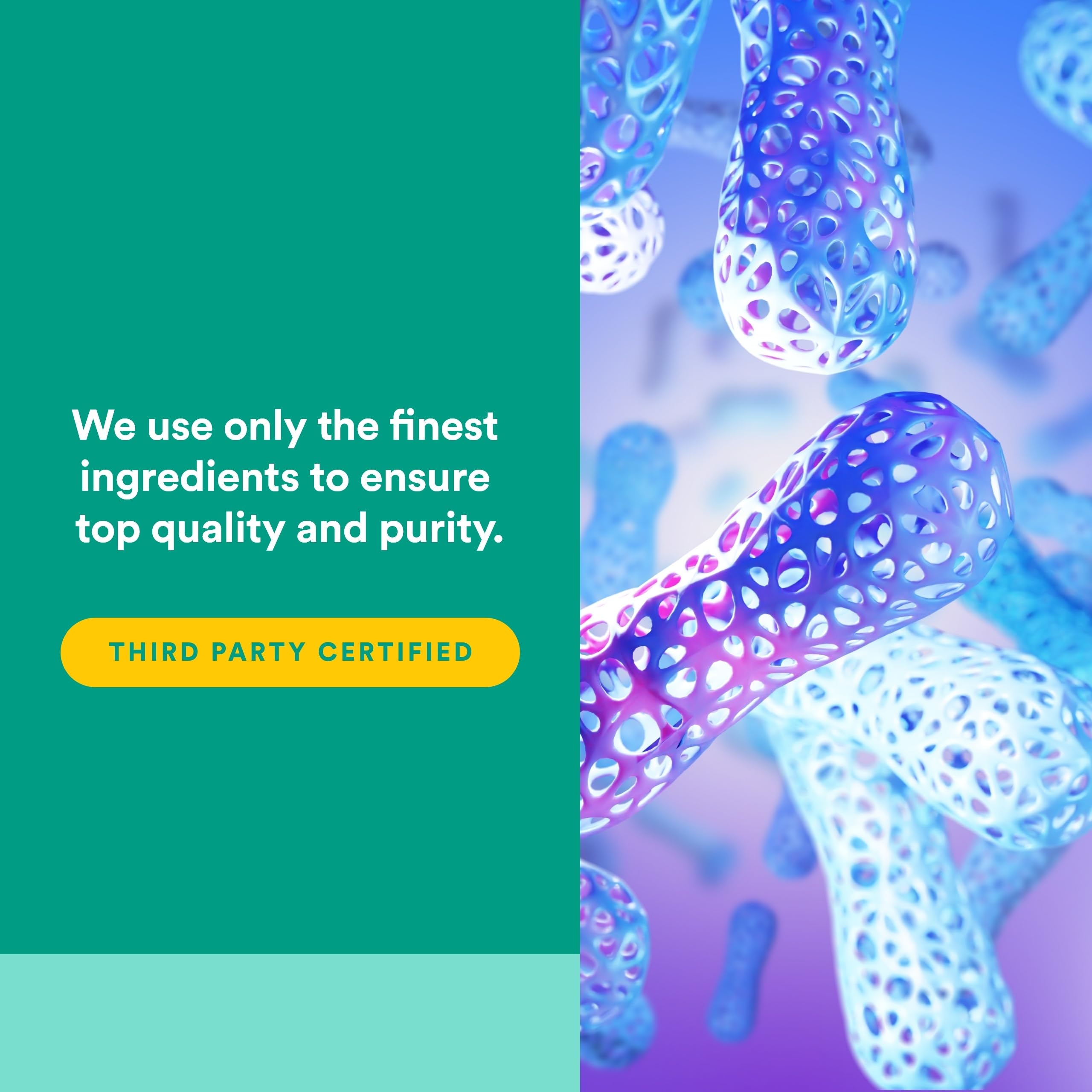Natural Factors Probiotic Acidophilus bottle top view