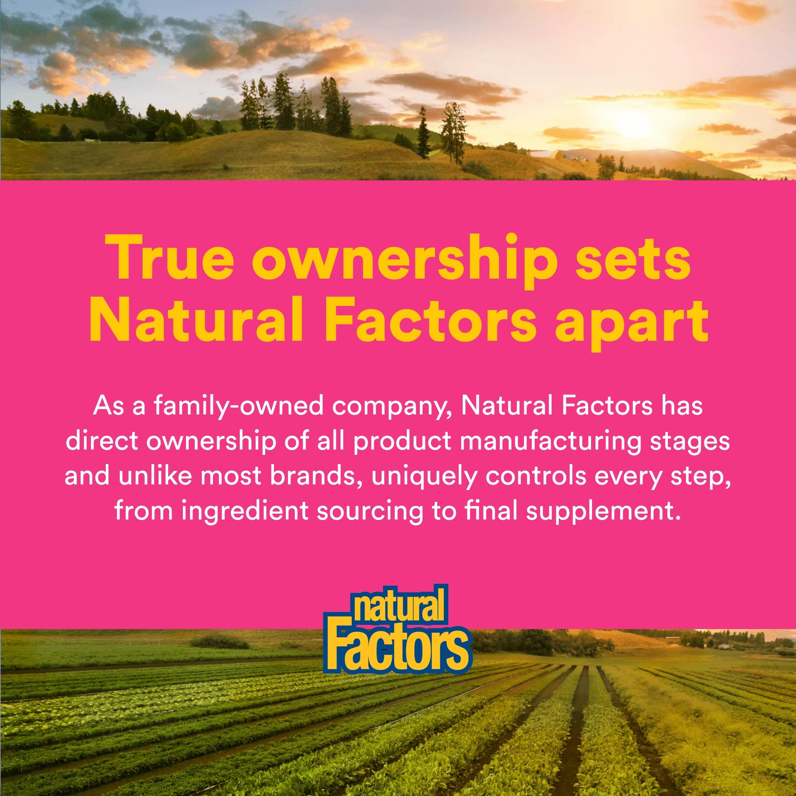 Natural Factors Probiotic Supplement capsule in hand