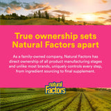 Natural Factors Probiotic Supplement capsule in hand