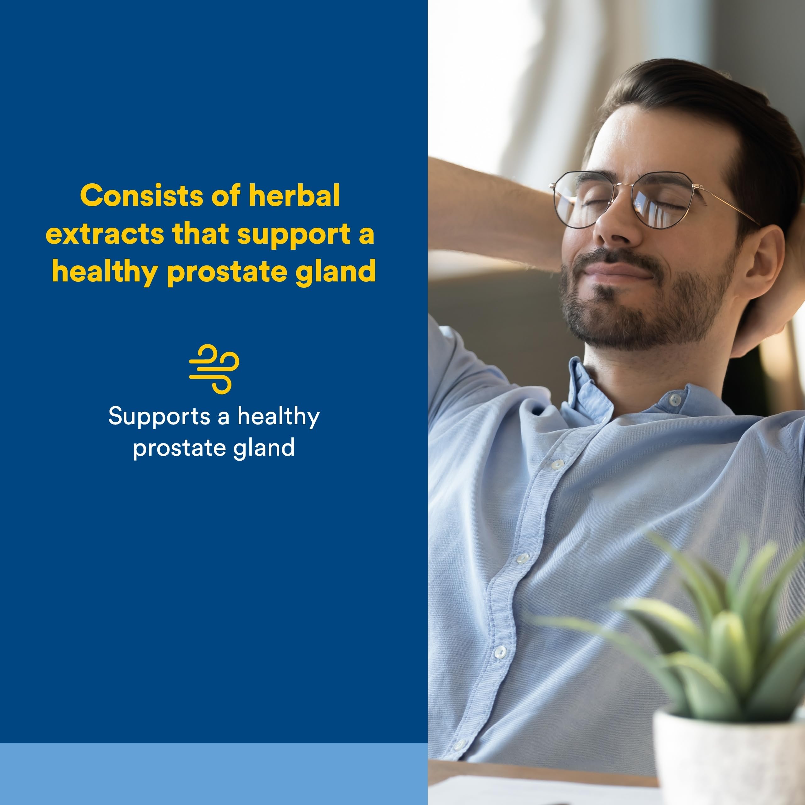 Natural Factors Prostate Health Herbal Formula side view