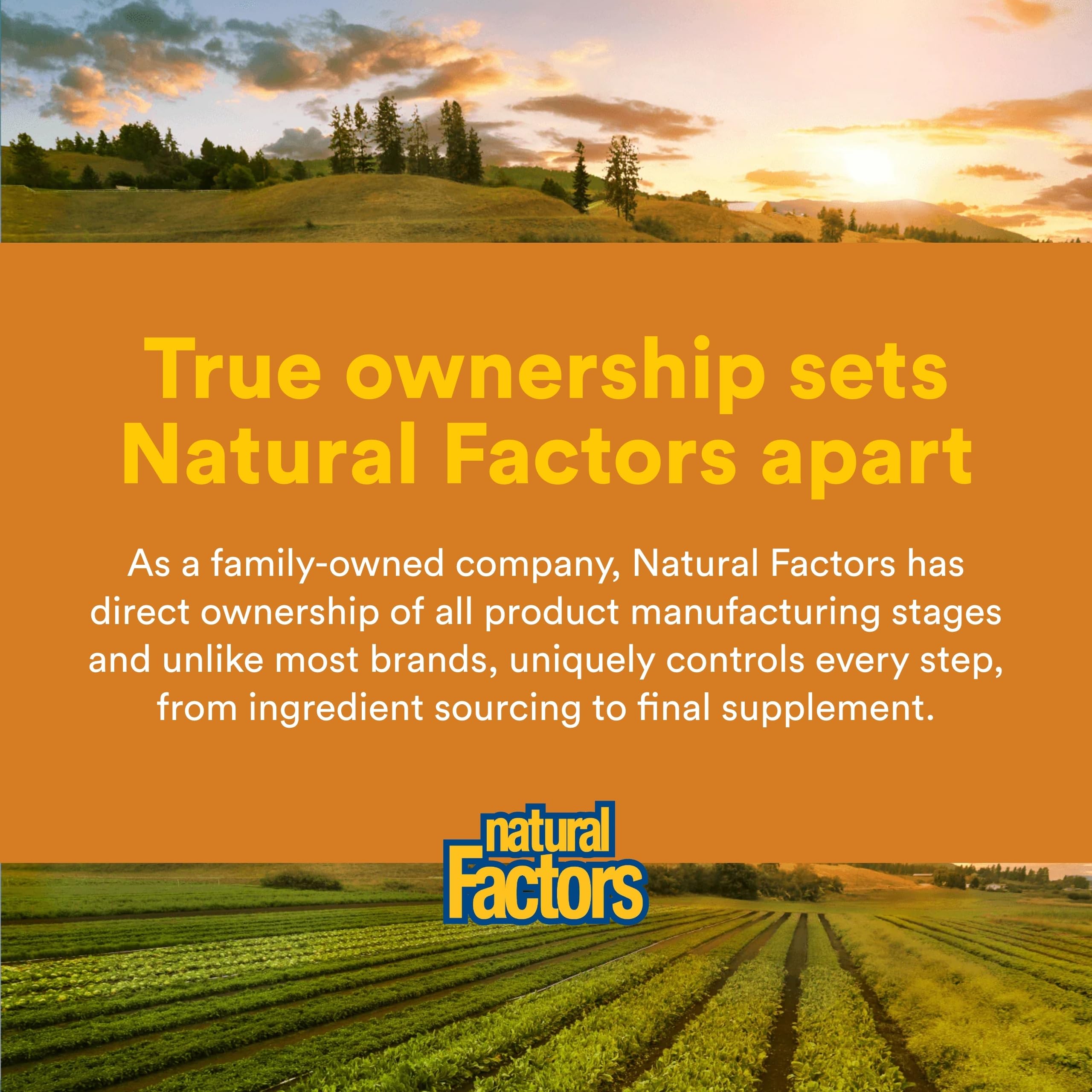 Natural Factors RegenerLife Powder served in a glass with water