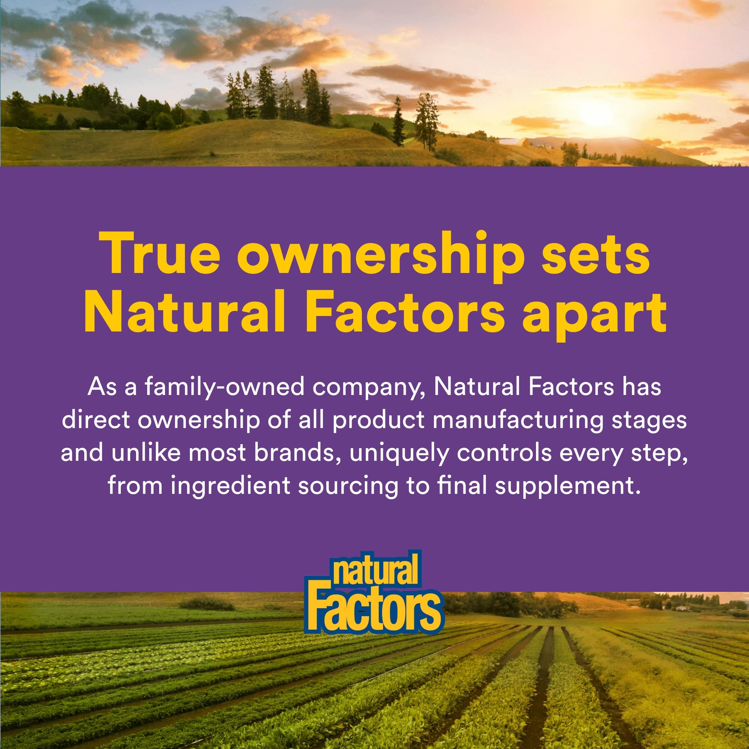 Natural Factors Reliefiber Organic Low FODMAP Fiber Powder lifestyle scene