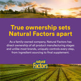 Natural Factors Reliefiber Organic Low FODMAP Fiber Powder lifestyle scene