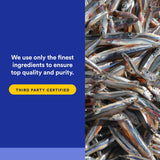 Natural Factors RxOmega-3 Fish Oil Softgels 625mg with softgel close-up