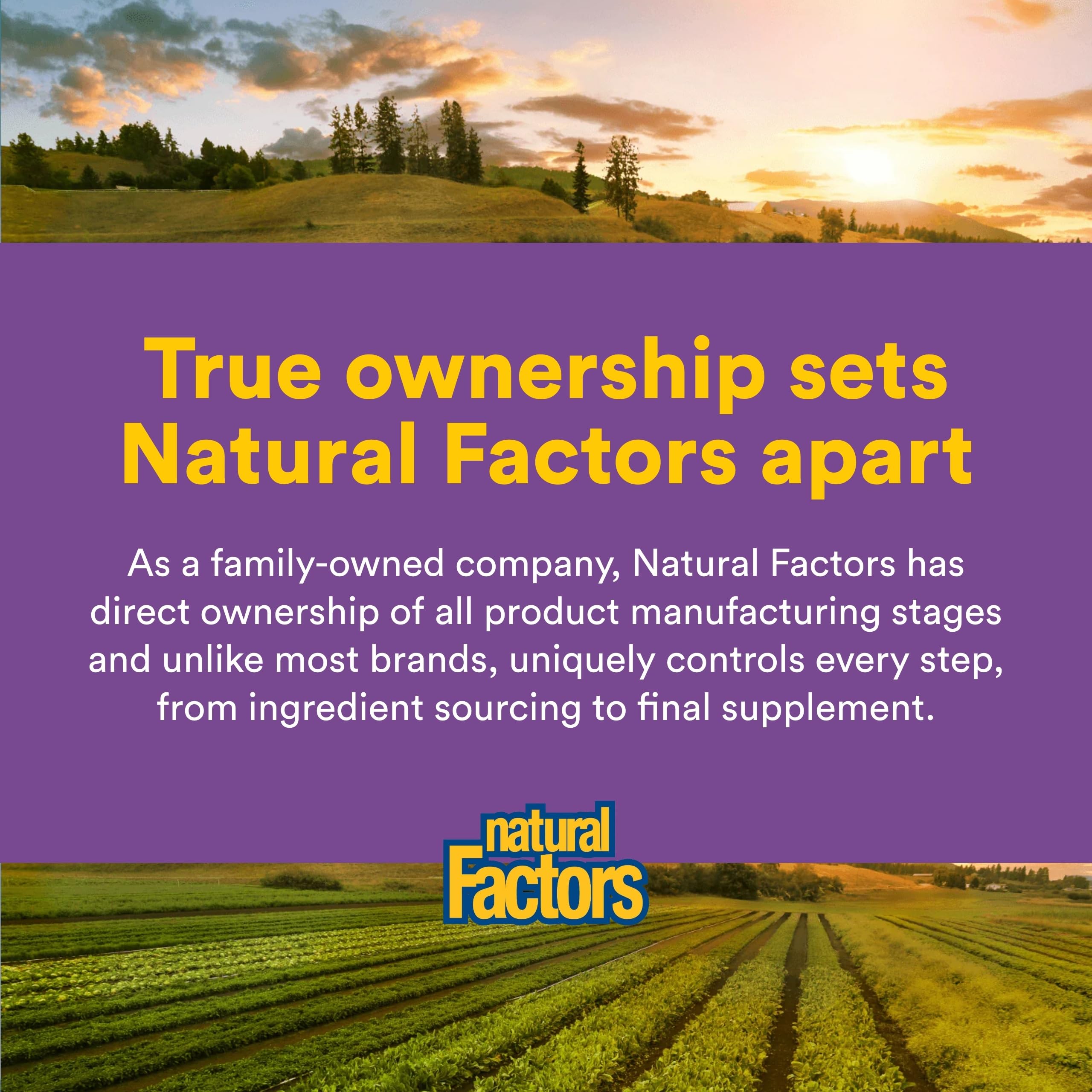 Natural Factors Saffron Extract Capsules 28mg in a lifestyle setting