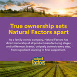 Natural Factors Saffron Extract Capsules 28mg in a lifestyle setting