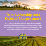 Natural Factors Stress-daily wellness Tranquil Sleep packaging