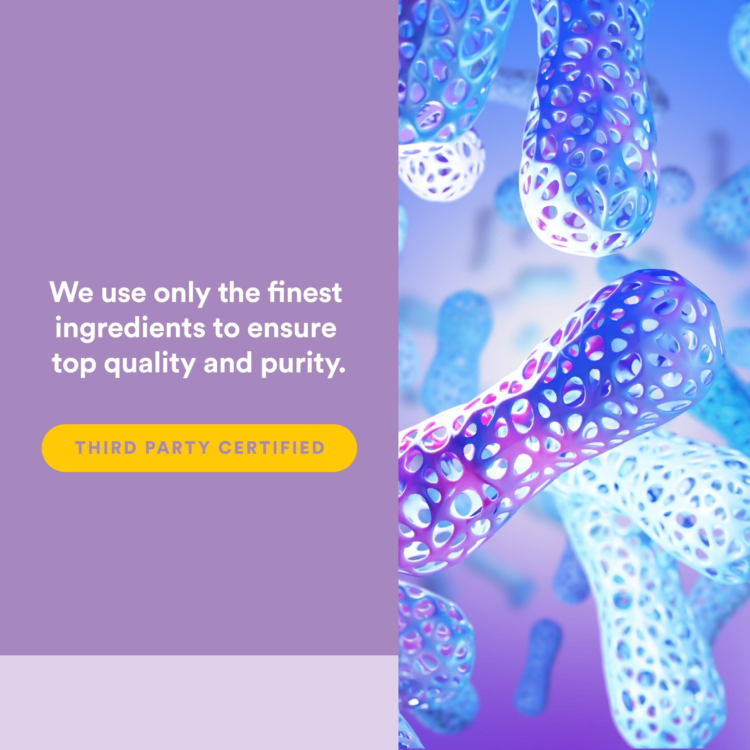 Natural Factors Stress-daily wellness Tranquil Sleep softgels in a hand