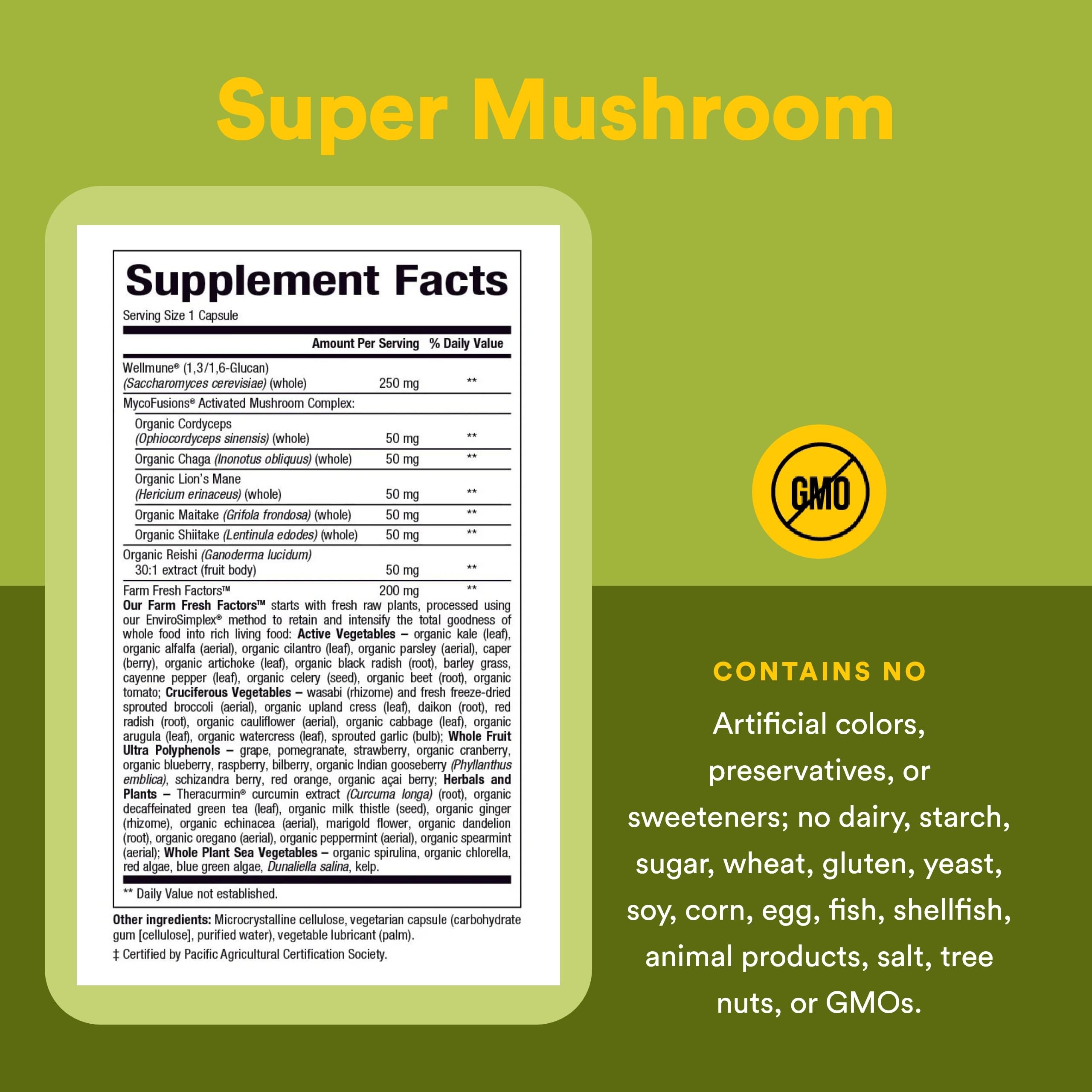 Natural Factors Super Mushroom Supplement 195g packaging