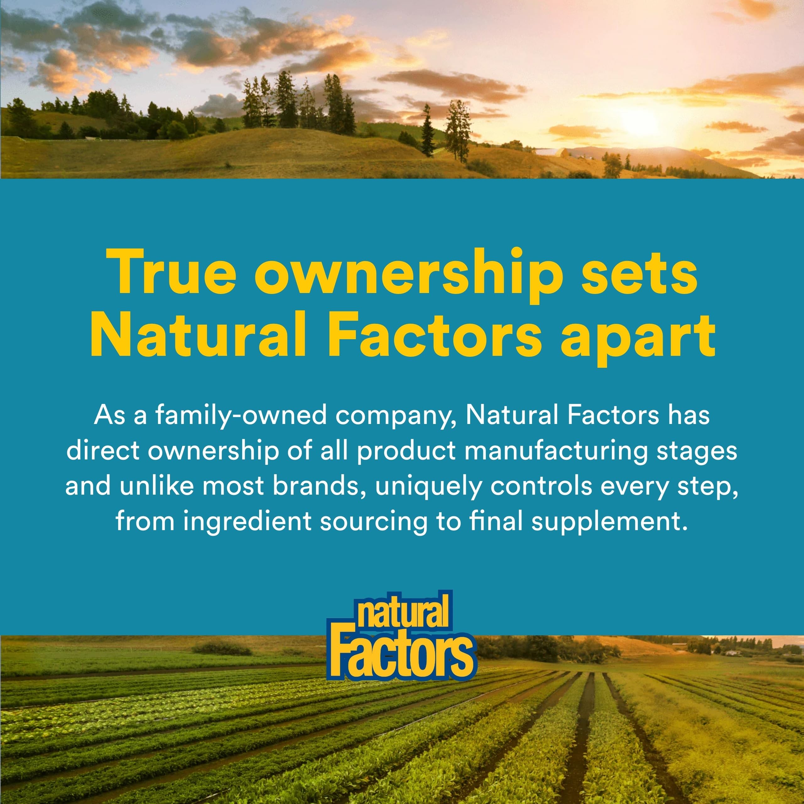 Natural Factors Ultimate Probiotic Senior's 35 Billion CFU Capsules in hand