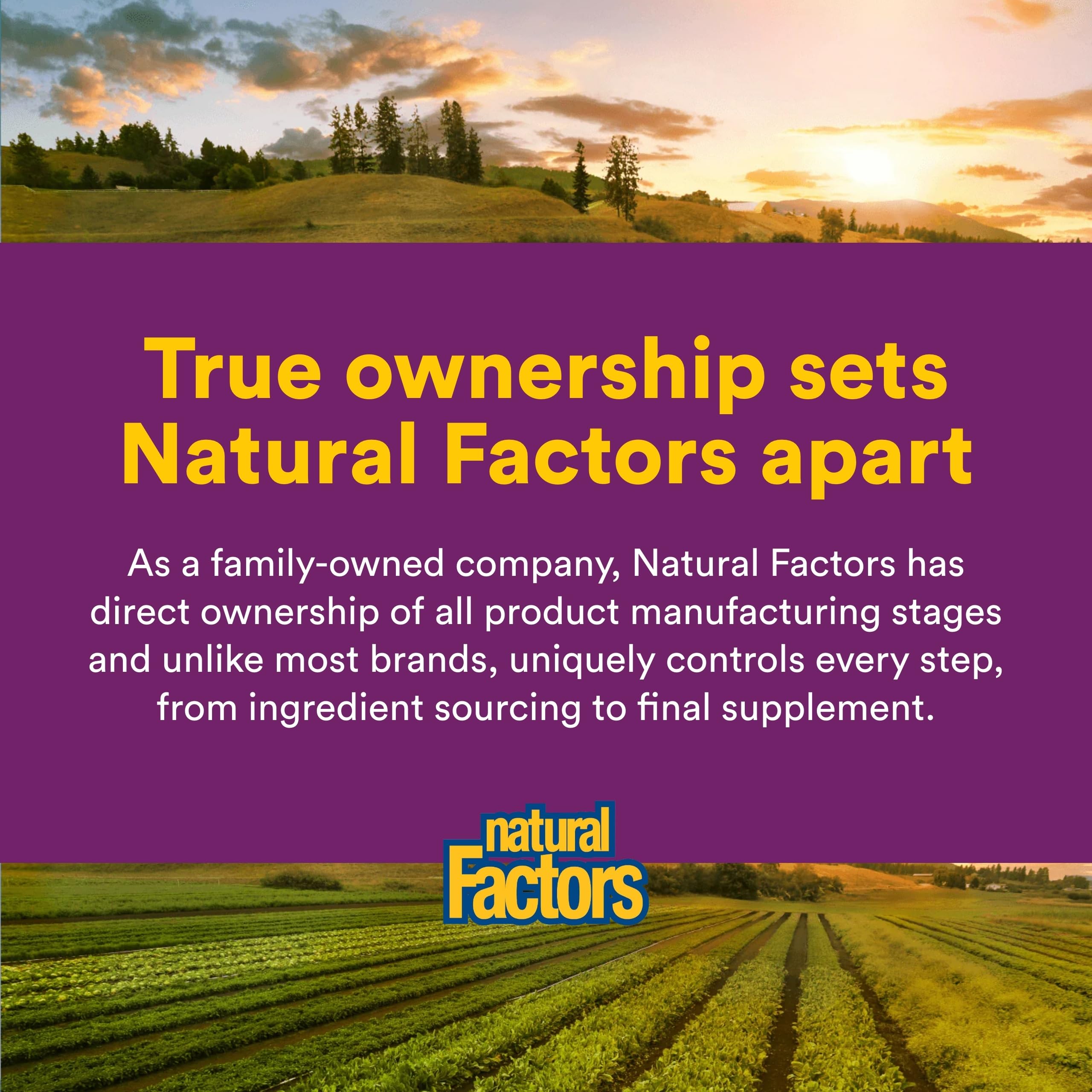 Natural Factors Vitamin B12 Cyanocobalamin 1000mcg with organic farm background
