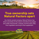 Natural Factors Vitamin B12 Cyanocobalamin 1000mcg with organic farm background