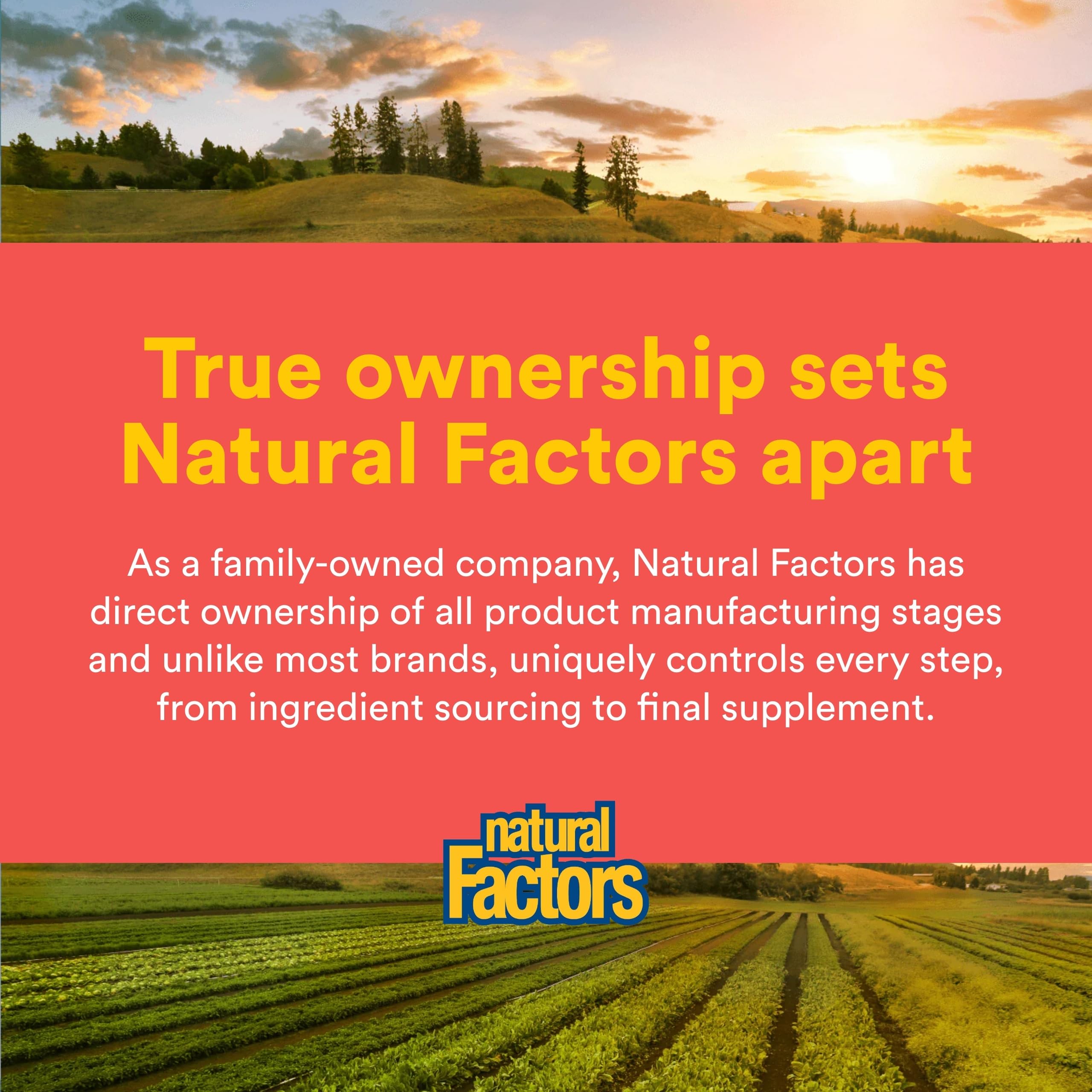 Natural Factors Vitamin C Chewable Wafer lifestyle scene