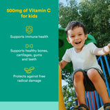 Natural Factors Vitamin C Chewable Wafer packaging side view