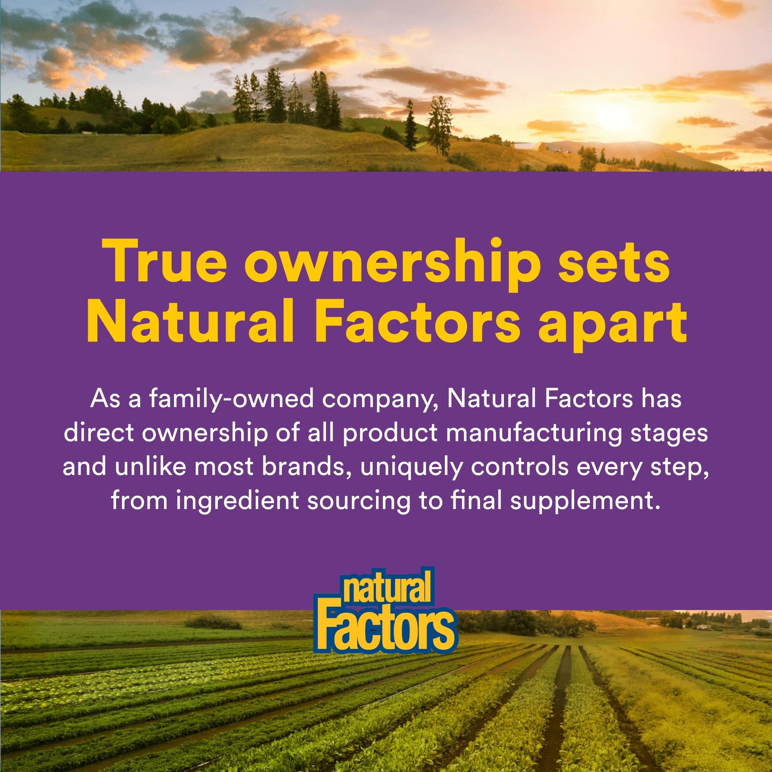 Natural Factors Vitamin C Chewable Wafers back view with ingredients list