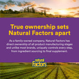 Natural Factors Vitamin C Chewable Wafers back view with ingredients list